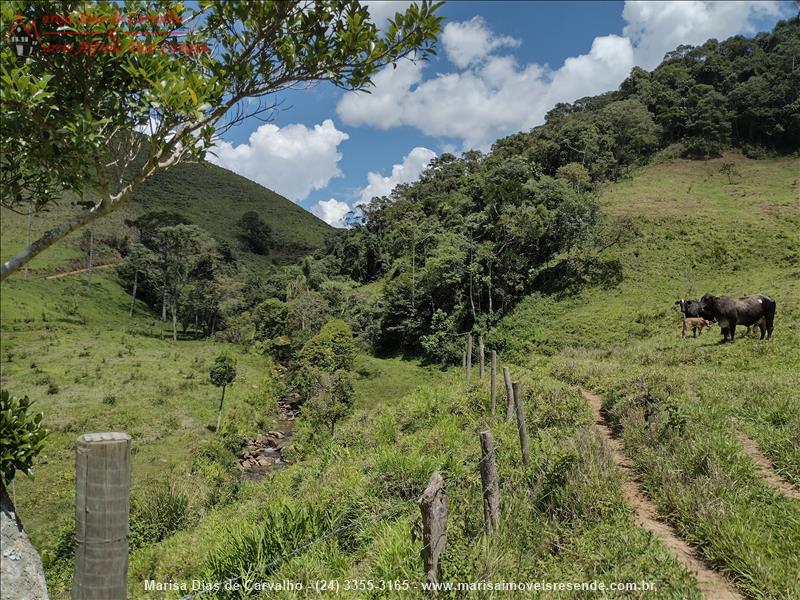 Sítio a Venda no Outros em Bocaina de Minas